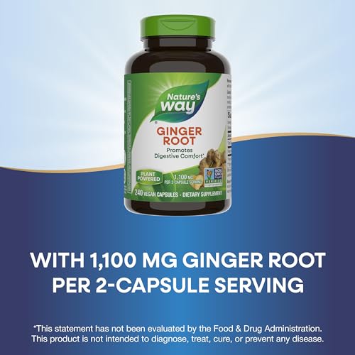 Nature's Way Ginger Root for Digestive Health, 240 Caps