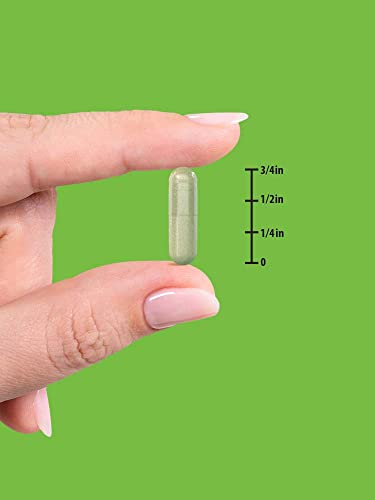 Echinacea Extract Capsules 1300mg - 100 Count