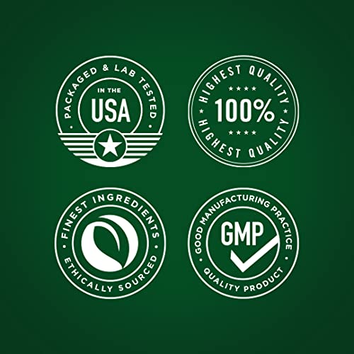 Echinacea Extract Capsules 1300mg - 180 Count