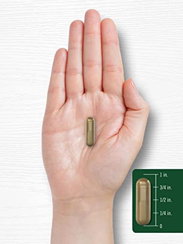 Carlyle Ginseng Complex Capsules - 200 Count