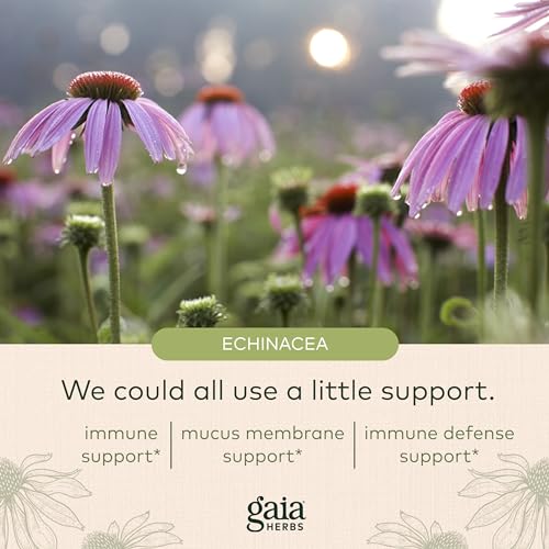 Gaia Herbs Echinacea Goldenseal Immune Support Capsules