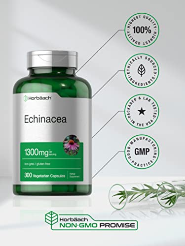 Echinacea Extract Capsules 1300mg | 300 Count Vegan