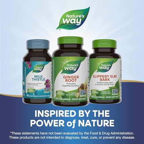 Nature's Way Ginger Root for Digestive Health, 240 Caps