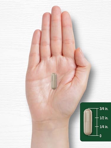 Carlyle Ginseng & Ginkgo Biloba 120 Capsules