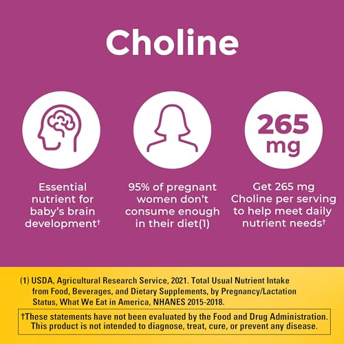 Nature Made Prenatal Vitamins with DHA & Choline