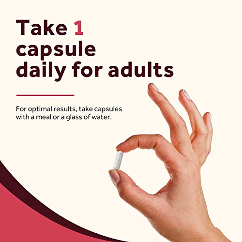 Gentle Iron Supplement with Vitamin C & B Complex