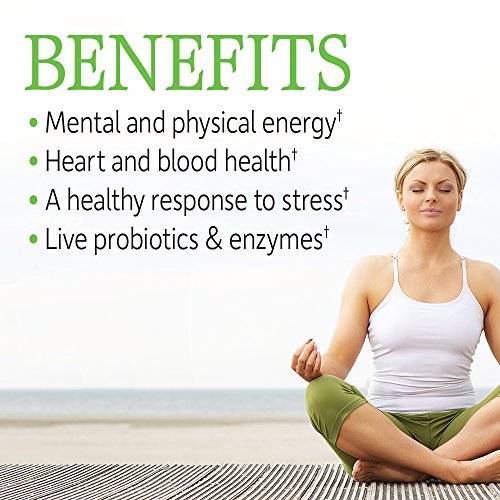 Garden of Life Vitamin B Complex - 120 Vegan Capsules