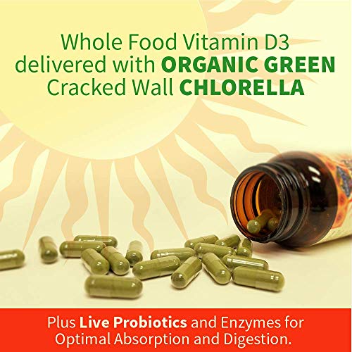 Garden of Life Vitamin D3 - Immune & Bone Support