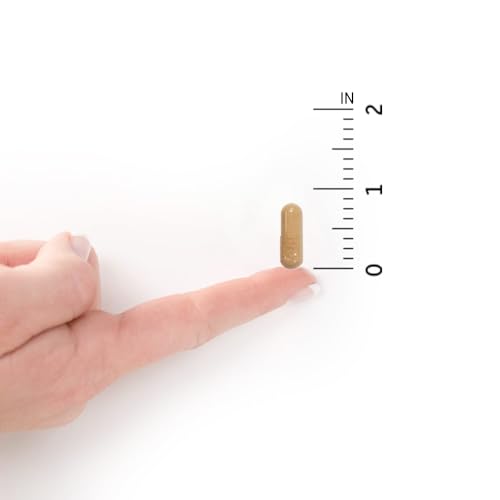 Garden of Life Raw Prenatal Multivitamins - 180 Capsules