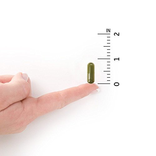 Garden of Life Vitamin D3 - Immune & Bone Support