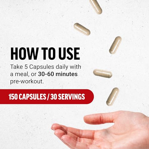 L-Arginine Nitric Oxide Supplement for Muscle Support