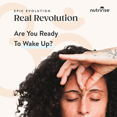 Organic Ashwagandha Capsules for Stress Relief & Energy