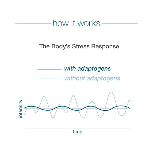 Youtheory Ashwagandha 1000 mg Stress Support Capsules