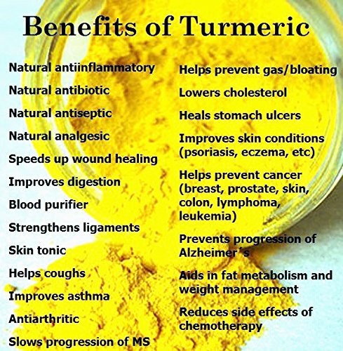 Fresh Yellow Turmeric Root - 2 Pounds