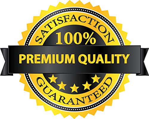 Fresh Yellow Turmeric Root - 2 Pounds