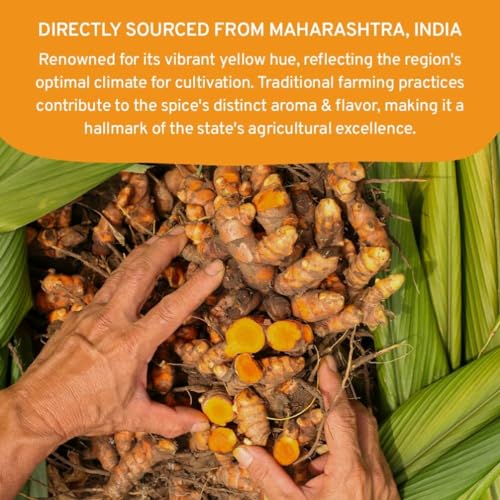 Organic Turmeric Powder with Curcumin - 397g