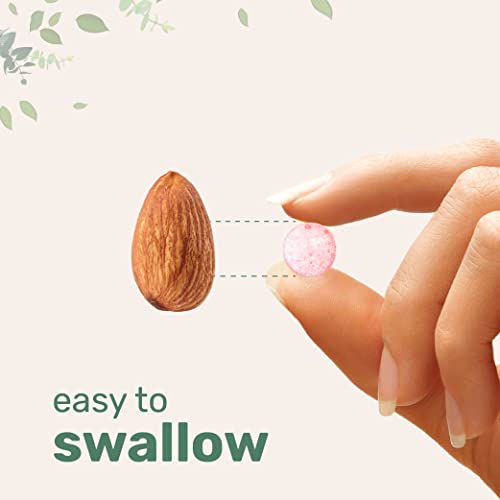 Vegan Methyl B12 5000mcg Chewable Tablets - 240 Count