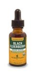 Organic Black Elderberry Extract for Immune Support
