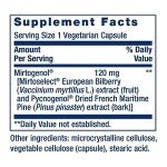 Eye Pressure Support Supplement with Mirtogenol - 30 Capsules