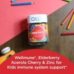 Kids Immunity Gummies with Elderberry and Zinc