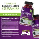 Elderberry Gummies with Zinc & Vitamin C - 60 Count