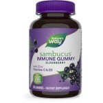 Nature’s Way Sambucus Elderberry Immune Gummies, 60 Count