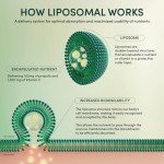 Beekeeper's Naturals Liposomal Vitamin C with Propolis
