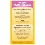 Nature Made Prenatal Vitamins with DHA & Choline