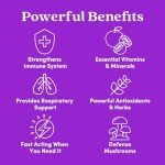 Ultimate Immune Support Multivitamin with Elderberry & Zinc