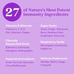 Ultimate Immune Support Multivitamin with Elderberry & Zinc