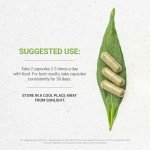 Pine Pollen Testosterone Support – 120 Capsules