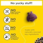 Zarbee's Kids Daily Immune Support with Elderberry