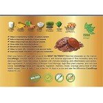 Moringa Hot Chocolate Cacao - Keto Friendly Mix