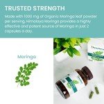 Himalaya Moringa Capsules - Vegan Superfood 1000 mg
