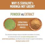 StayAlive Moringa Capsules 1000mg - Immune & Digestive Support