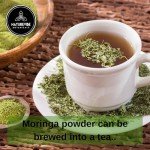 Naturevibe Botanicals Premium Moringa Powder 5lbs