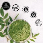 Naturevibe Botanicals Premium Moringa Powder 5lbs