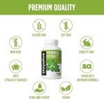 StayAlive Moringa Capsules 1000mg - Immune & Digestive Support