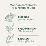 Organic Moringa Tea with Spearmint & Sage 16 Bags