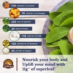 Vitalitown Moringa Capsules 11,000 MG - 90 Count