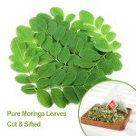 FullChea Moringa Tea - 50 Herbal Teabags