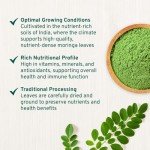 Organic Moringa Powder - Gluten-Free & Vegan Boost