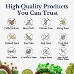 Vitalitown Moringa Capsules 11,000 MG - 90 Count