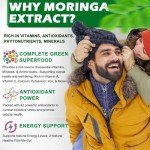 Organic Moringa Liquid Drops for Energy & Immunity