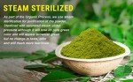Organic Moringa Powder - 1.10 lbs, USDA Certified