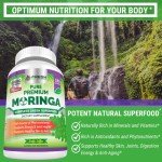 Moringa Oleifera Capsules - Pure Green Superfood 180ct
