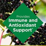 Elderberry Gummies for Immune Support and Vitamins