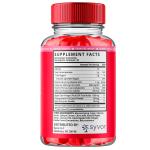 Lipo Keto ACV Gummy Vitamins - 3 Pack