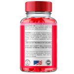 Lipo Keto ACV Gummy Vitamins - 3 Pack