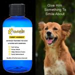 Quick Relief for Dog Diarrhea (100ml)